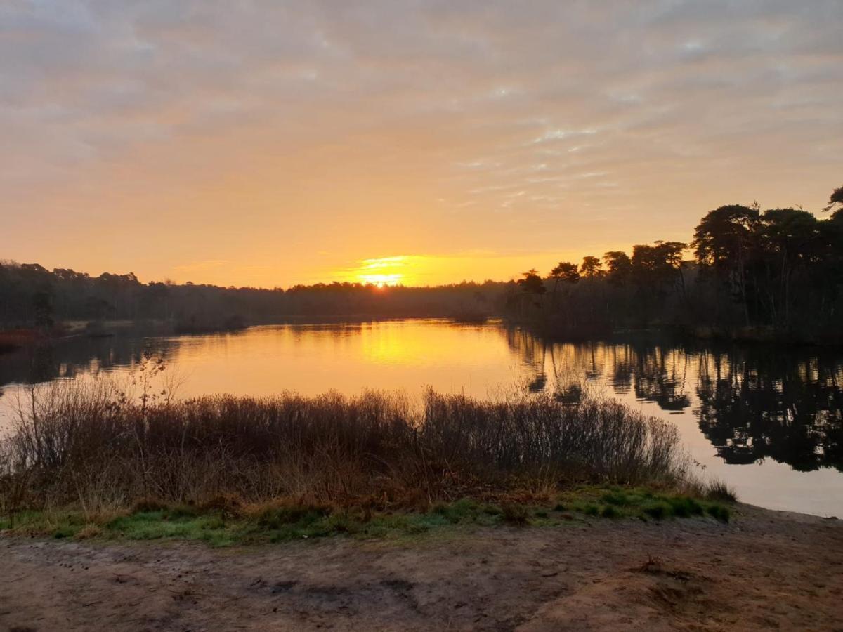 29, Natuurlijk Gelegen Nabij Efteling En Beekse Bergen, Airco & Prive Parkeren Inbegrepen! Oisterwijk Extérieur photo