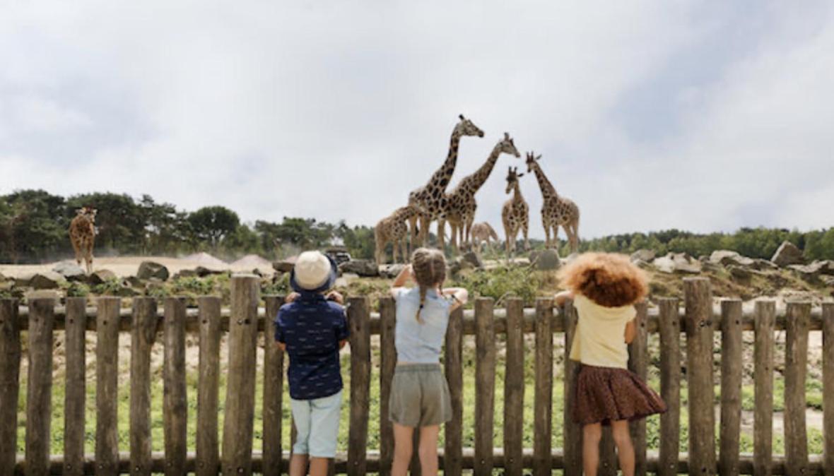 29, Natuurlijk Gelegen Nabij Efteling En Beekse Bergen, Airco & Prive Parkeren Inbegrepen! Oisterwijk Extérieur photo