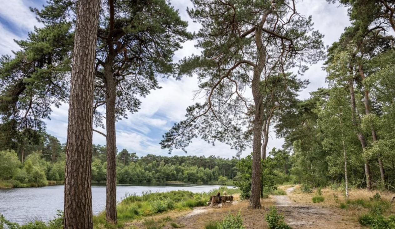29, Natuurlijk Gelegen Nabij Efteling En Beekse Bergen, Airco & Prive Parkeren Inbegrepen! Oisterwijk Extérieur photo
