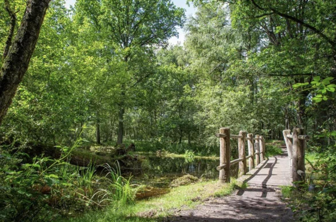 29, Natuurlijk Gelegen Nabij Efteling En Beekse Bergen, Airco & Prive Parkeren Inbegrepen! Oisterwijk Extérieur photo